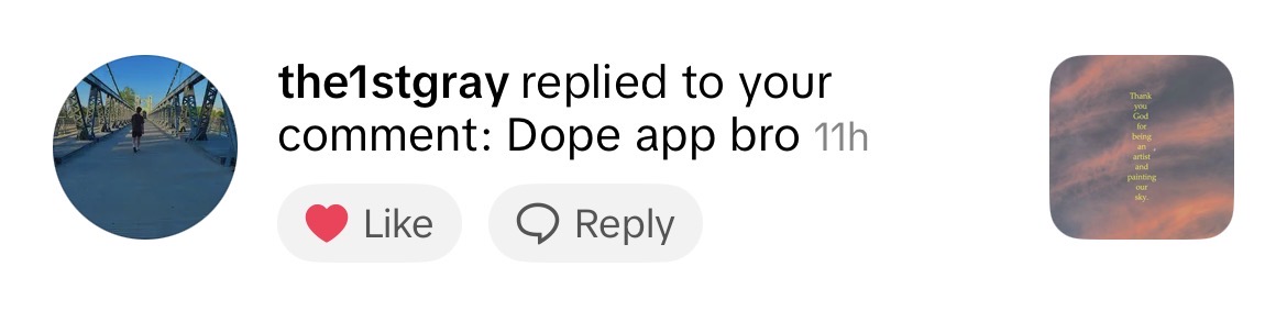 TikTok comment screenshot