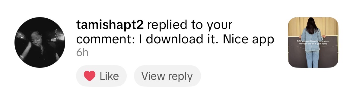 TikTok comment screenshot